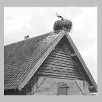067-0022 Forsthaus Lieblacken. Der Storch kam jedes Jahr und baute sein Nest immer hoeher..jpg
